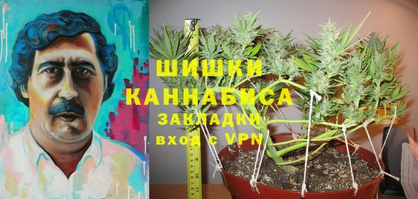 Альфа ПВП Алексин