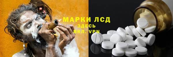 прущие грибы Алзамай