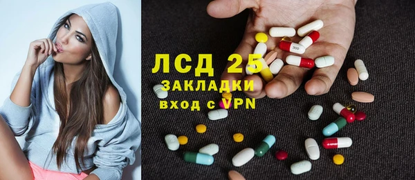 прущие грибы Алзамай