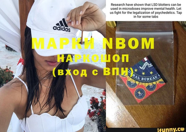 прущие грибы Алзамай